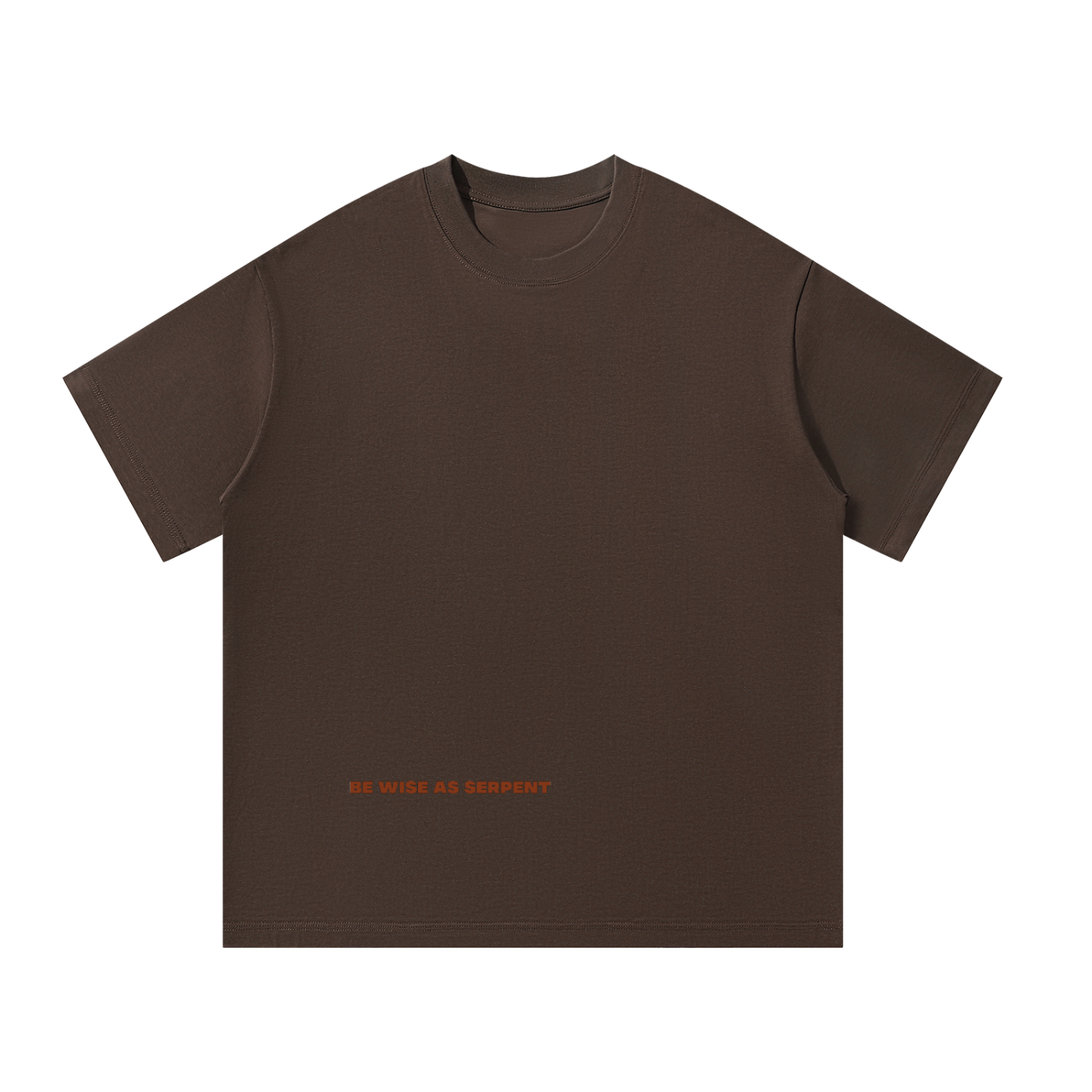 Be wise as Serpent - Christian Oversized Streetwear T-Shirt
