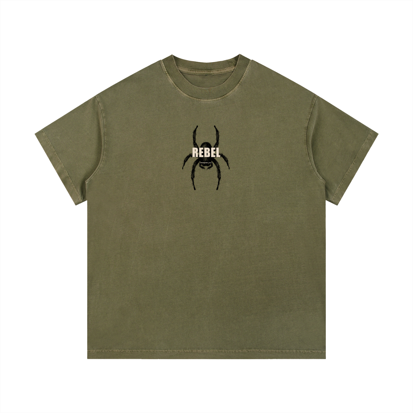 REBEL ehp.6:12 - Christian Vintage Wash Cotton T-Shirt