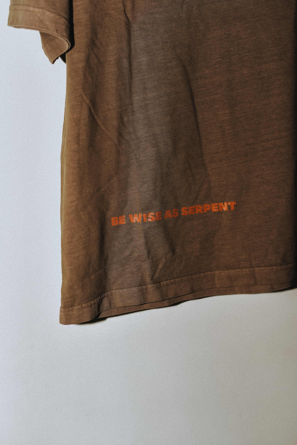 Be wise as Serpent - Christian Oversized Streetwear T-Shirt