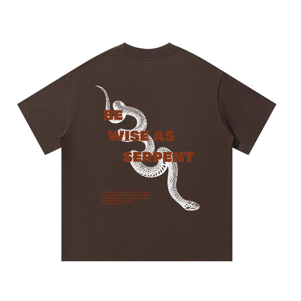 Be wise as Serpent - Christian Oversized Streetwear T-Shirt
