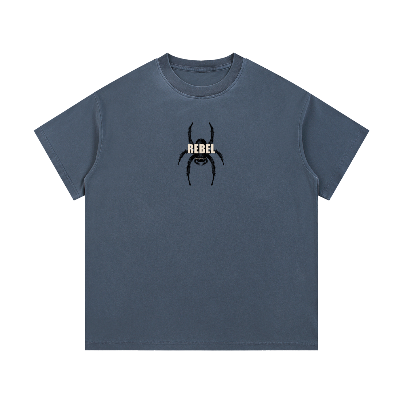 REBEL ehp.6:12 - Christian Vintage Wash Cotton T-Shirt