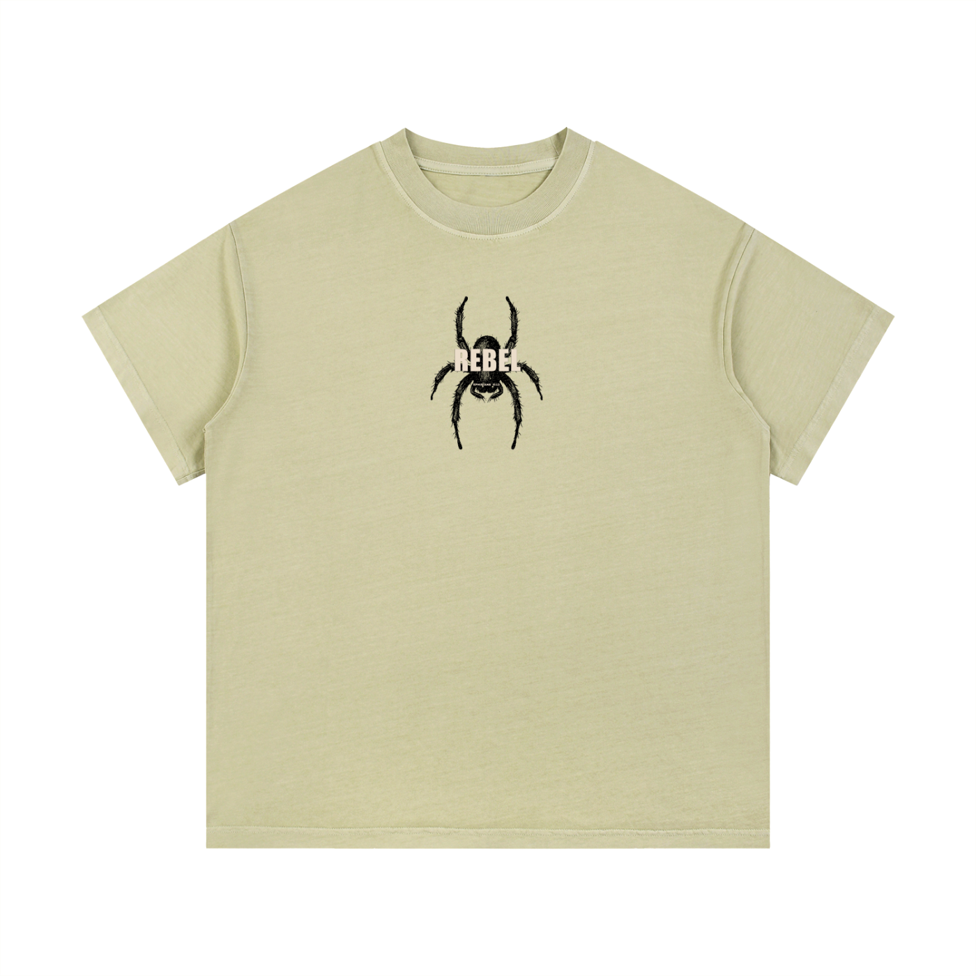 REBEL ehp.6:12 - Christian Vintage Wash Cotton T-Shirt